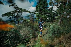 BIB: 
                            <button type="button" onclick="openModal(25258016)" class="btn btn-primary btn-sm float-right btn-popup" data-toggle="modal" data-target=".modal-high-quality">
                        <i class="fas fa-shopping-cart"></i> Add to Cart
                    </button>
                                            <button type="button" onclick="isThisMe(25258016, true)" class="btn btn-success btn-sm float-right btn-popup btn-isme hidden" data-toggle="tooltip" data-placement="bottom" title="นี่คือรูปของคุณใช่ไหม คลิกที่นี่เพื่อเอาเข้าอัลบั้ม">
                        <i class="fas fa-plus"></i> Add to album
                    </button>
                    <button type="button" onclick="isThisMe(25258016, false)" class="btn btn-warning btn-sm float-right btn-popup btn-isnotme hidden">
                        <i class="fas fa-ban"></i> Remove from album
                    </button>